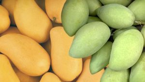 Ready-to-Eat-Mangos-Increase-Sales