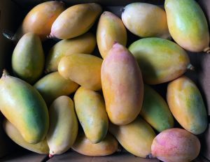 Ripe-mangoes-in-a-box-750x580